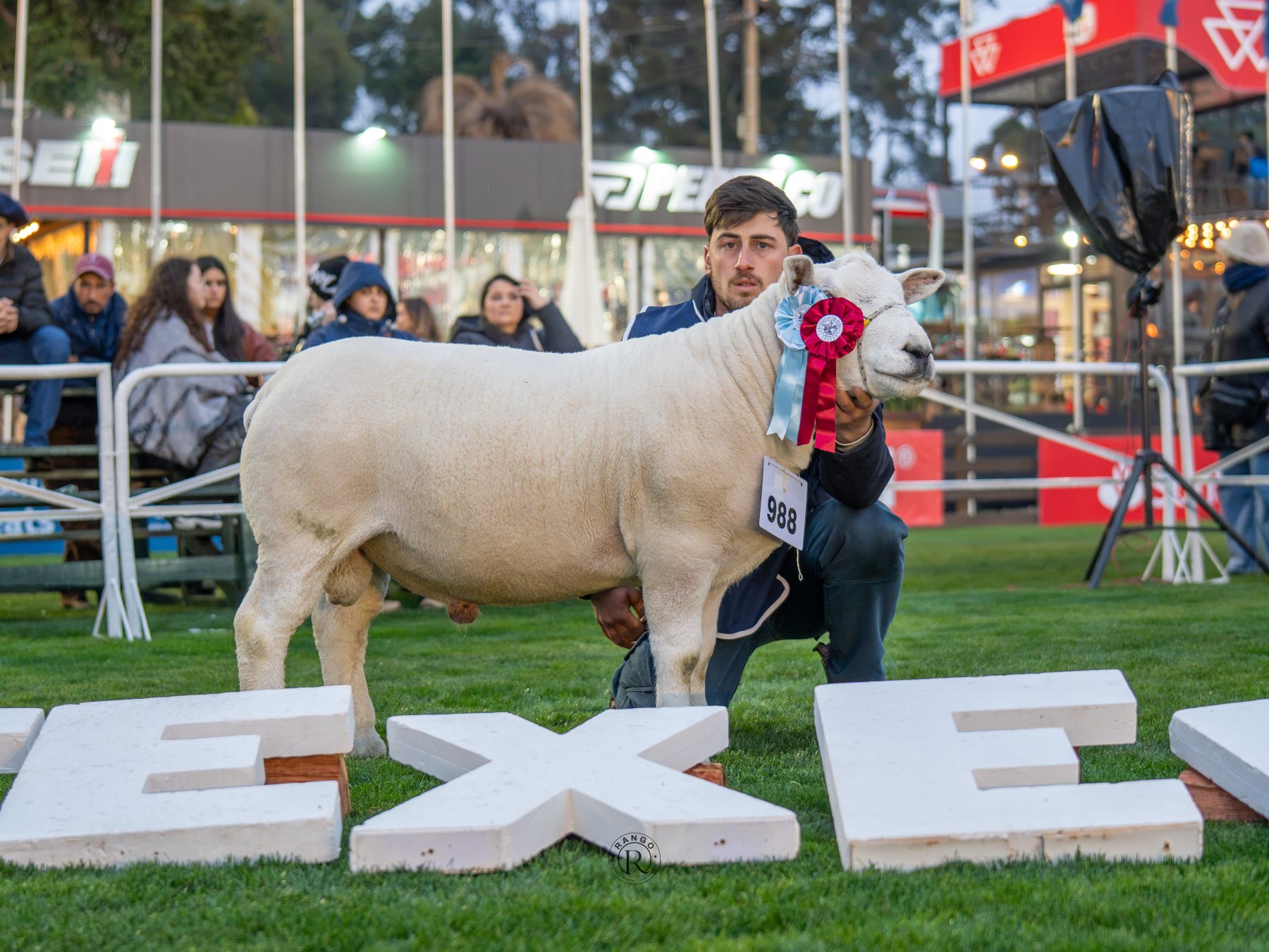 Foto de Texel ratificó su liderazgo carnicero con pista récord y nivel superlativo en la Expo Prado