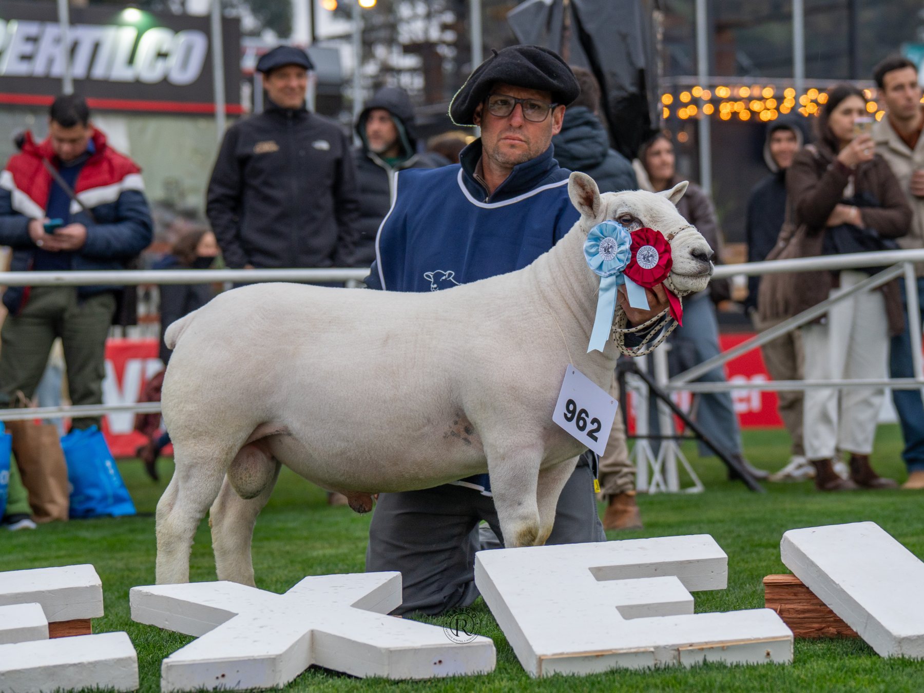 Foto de Texel ratificó su liderazgo carnicero con pista récord y nivel superlativo en la Expo Prado