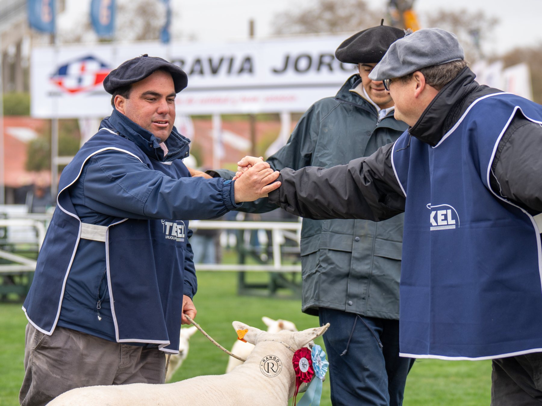 Foto de Texel ratificó su liderazgo carnicero con pista récord y nivel superlativo en la Expo Prado