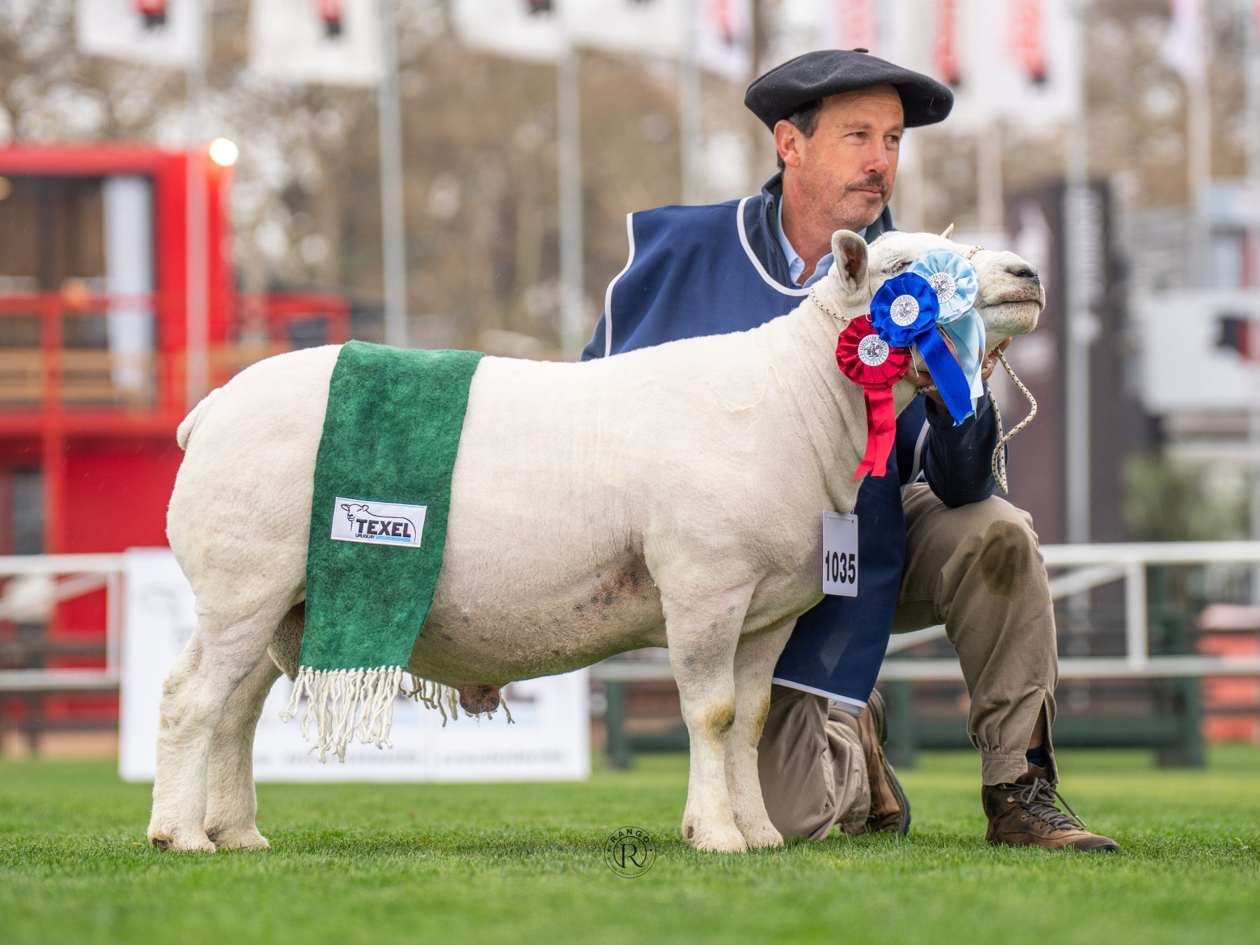 Foto de Texel ratificó su liderazgo carnicero con pista récord y nivel superlativo en la Expo Prado