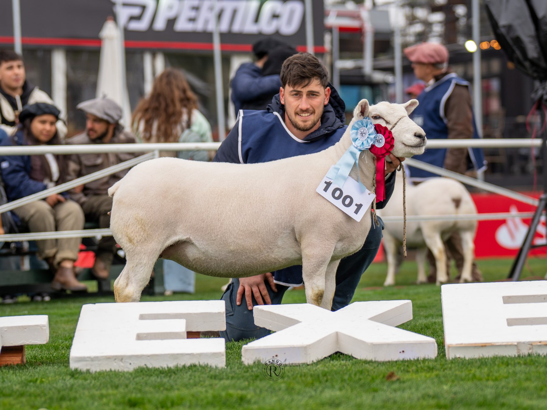 Foto de Texel ratificó su liderazgo carnicero con pista récord y nivel superlativo en la Expo Prado