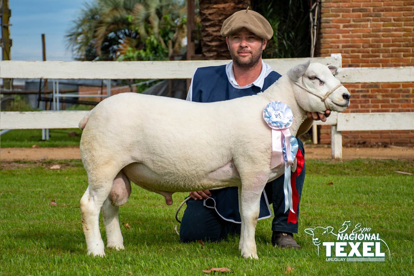 Foto de Premios 5ta Nacional TEXEL