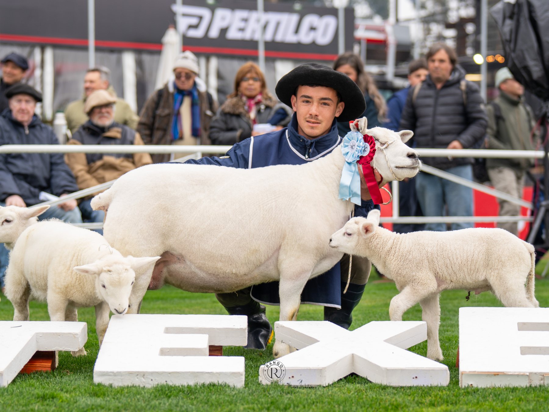 Foto de Texel ratificó su liderazgo carnicero con pista récord y nivel superlativo en la Expo Prado