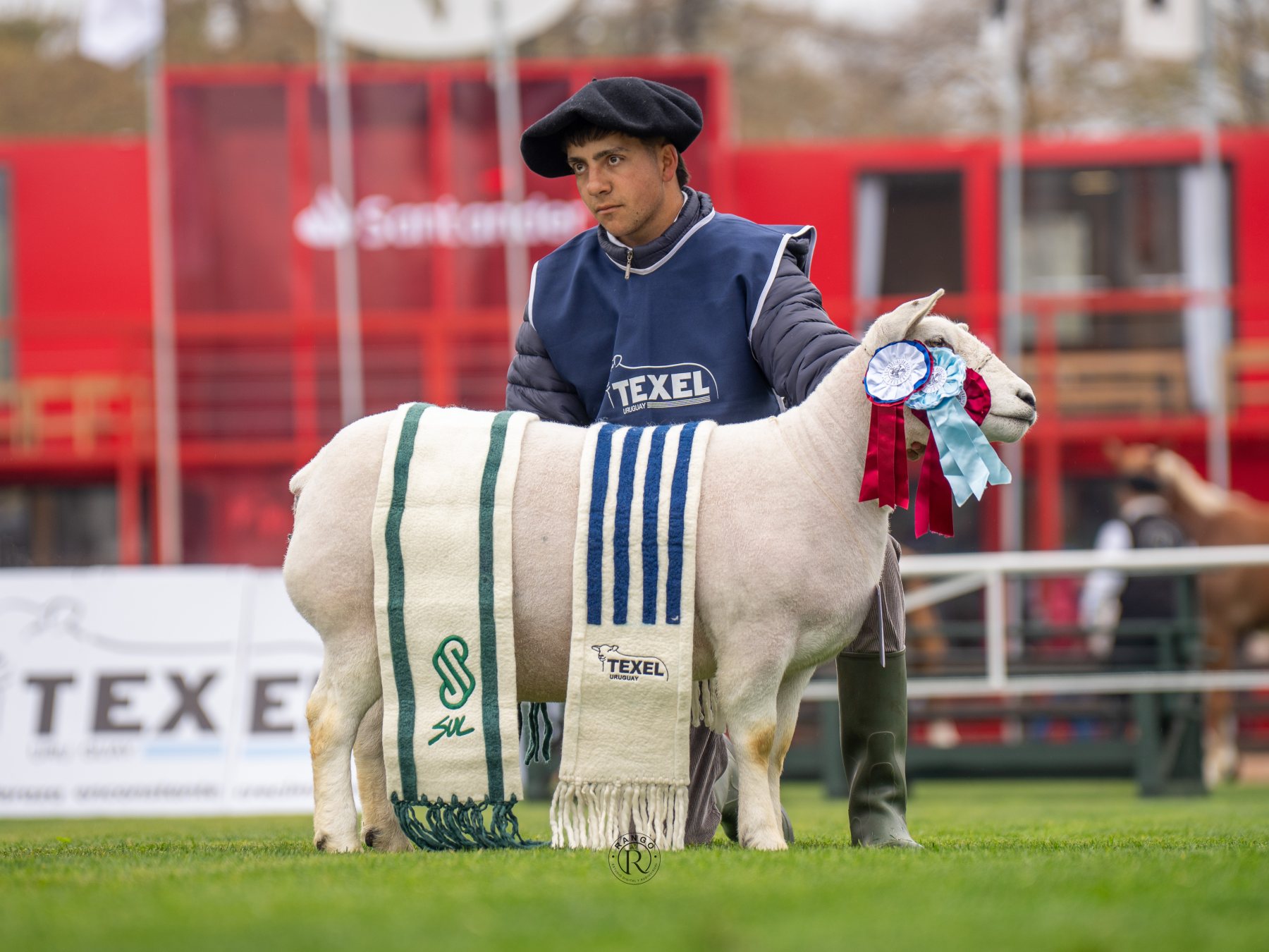 Foto de Texel ratificó su liderazgo carnicero con pista récord y nivel superlativo en la Expo Prado