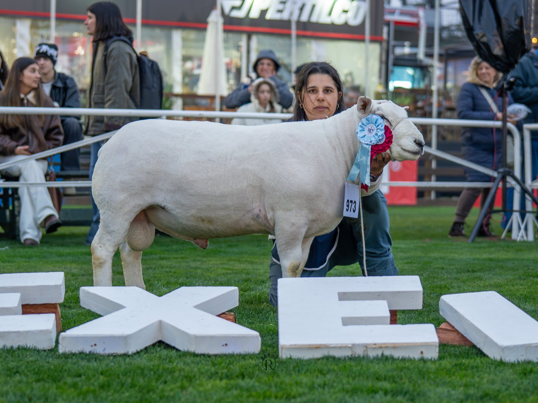 Foto de Texel ratificó su liderazgo carnicero con pista récord y nivel superlativo en la Expo Prado