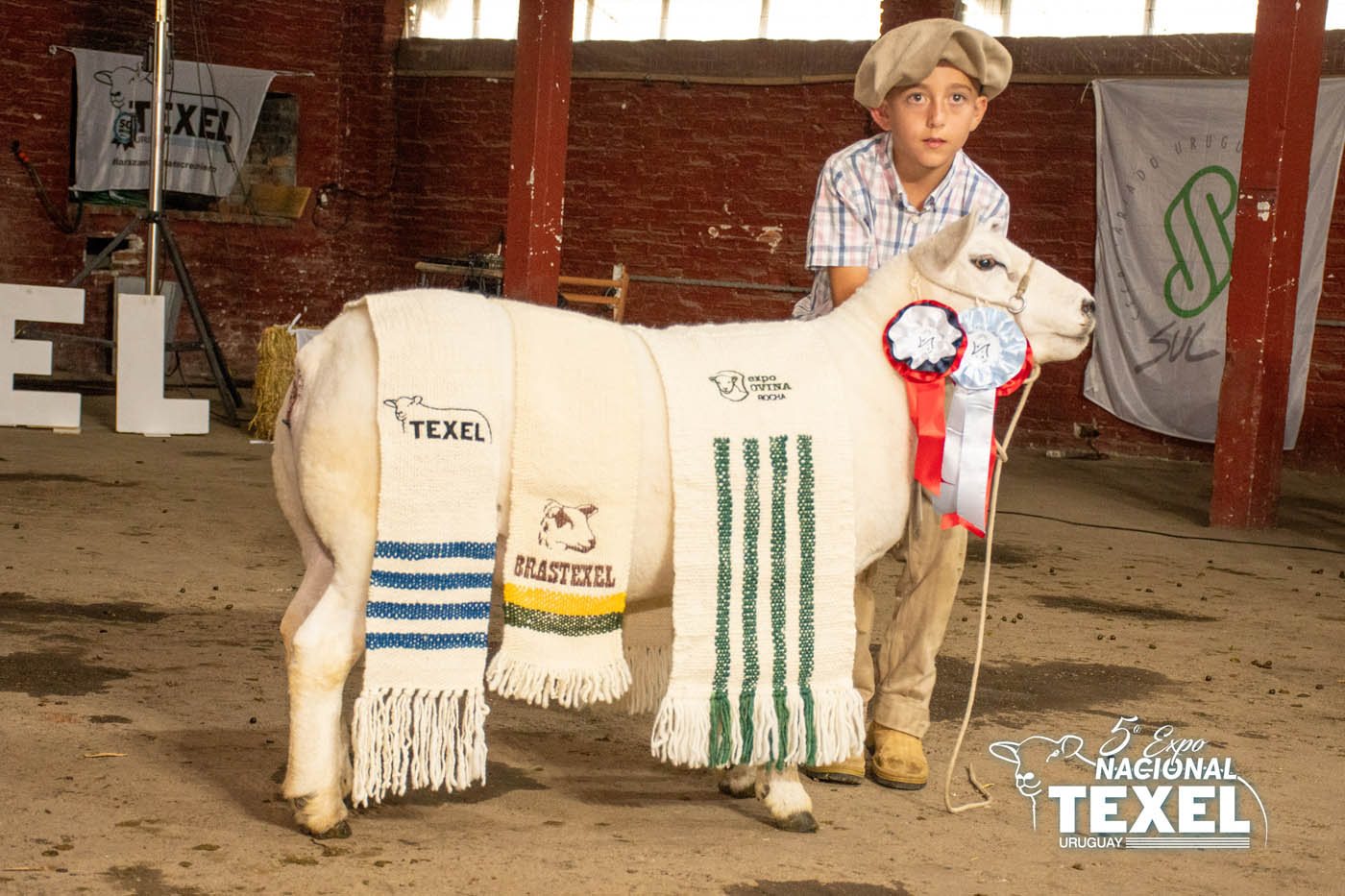 Foto de Premios 5ta Nacional TEXEL