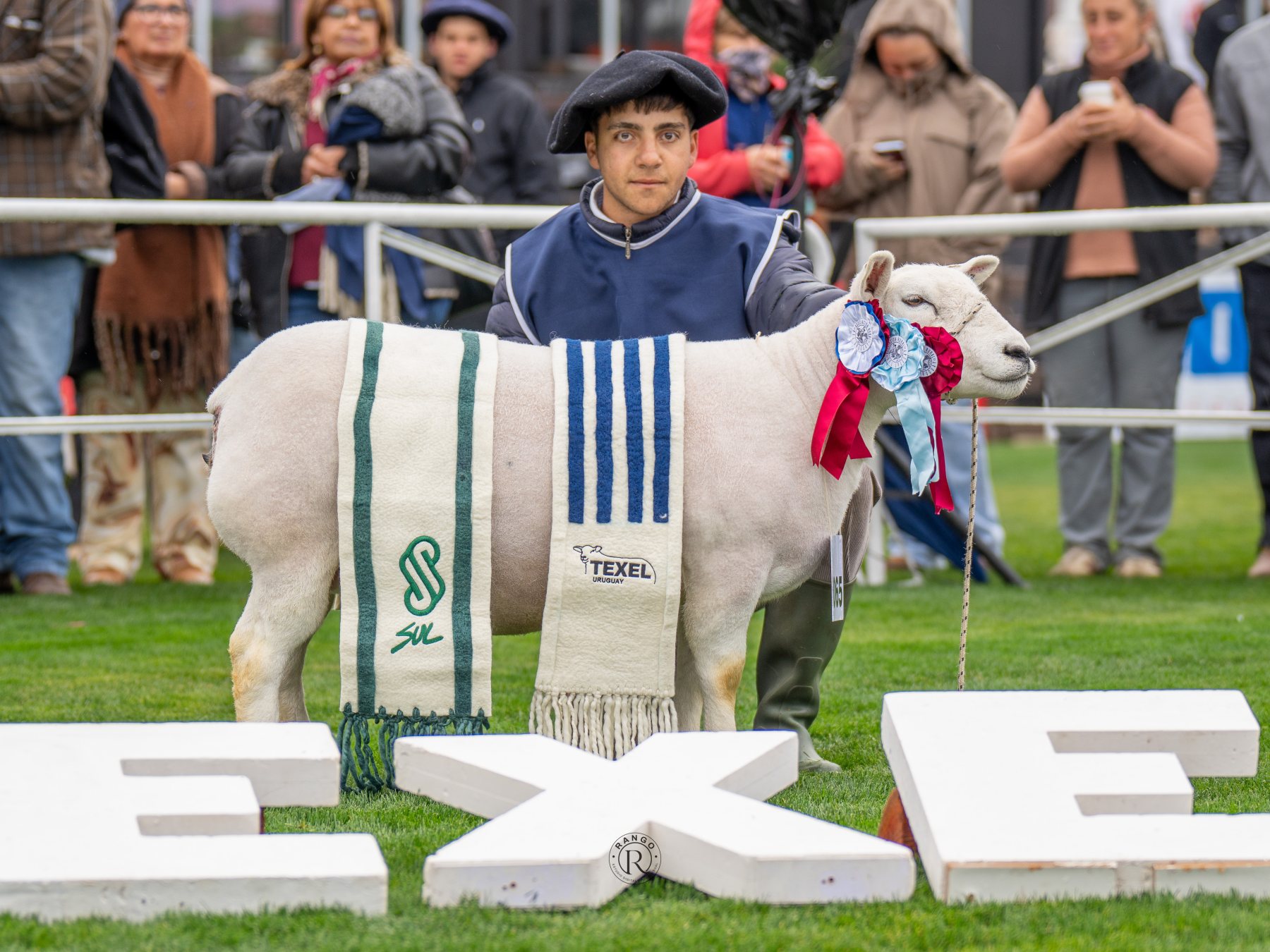 Foto de Texel ratificó su liderazgo carnicero con pista récord y nivel superlativo en la Expo Prado