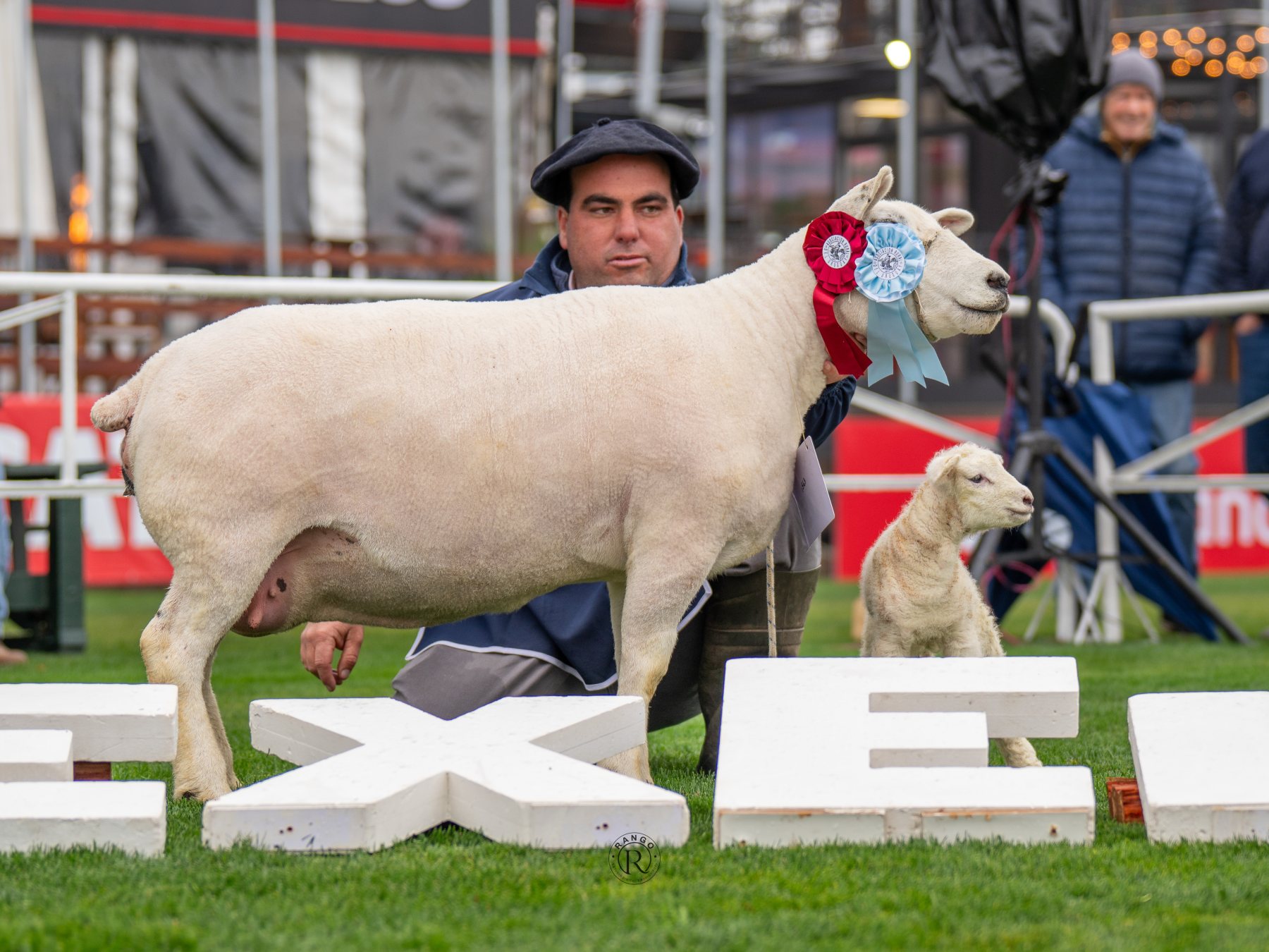 Foto de Texel ratificó su liderazgo carnicero con pista récord y nivel superlativo en la Expo Prado