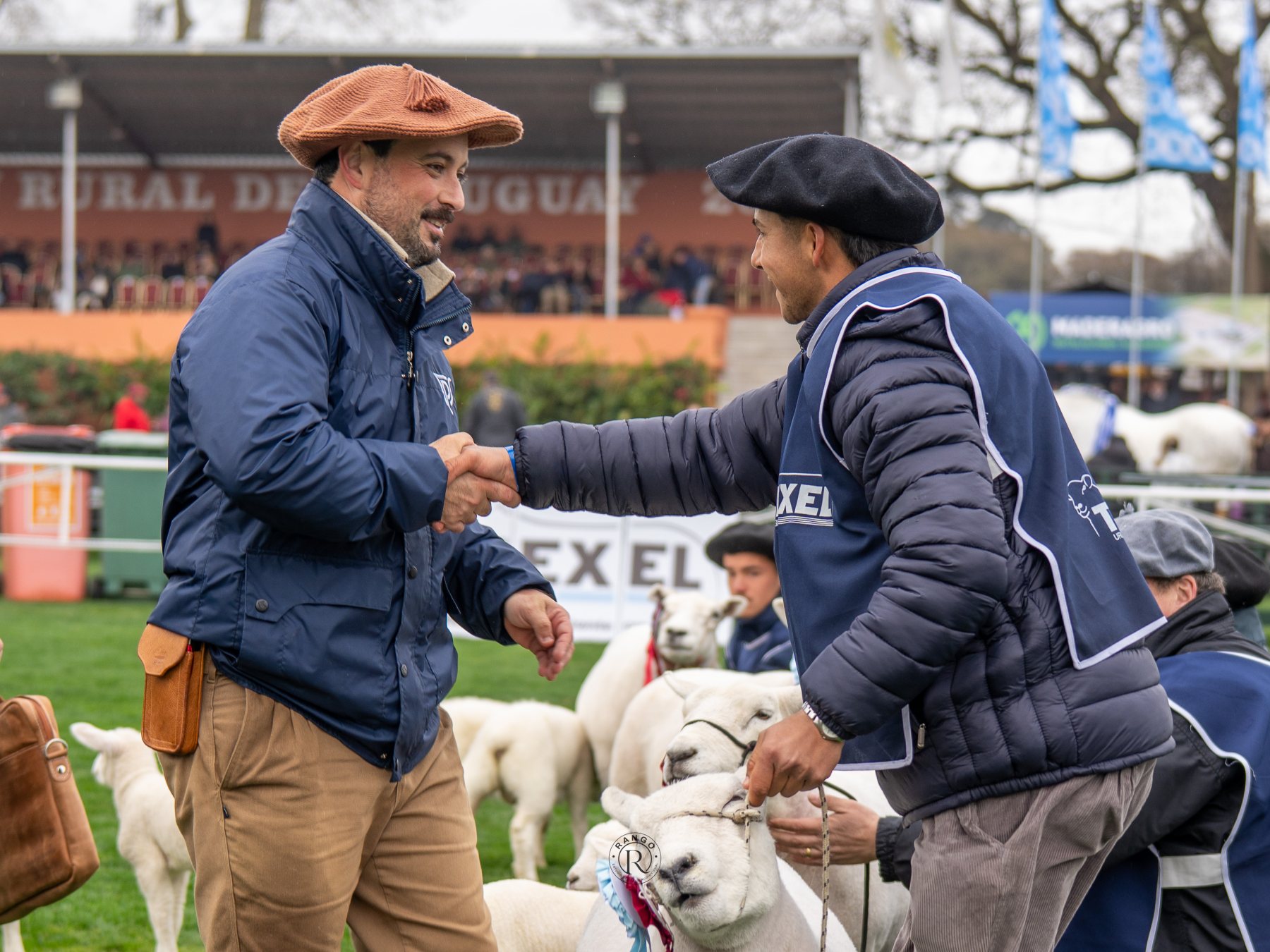 Foto de Texel ratificó su liderazgo carnicero con pista récord y nivel superlativo en la Expo Prado