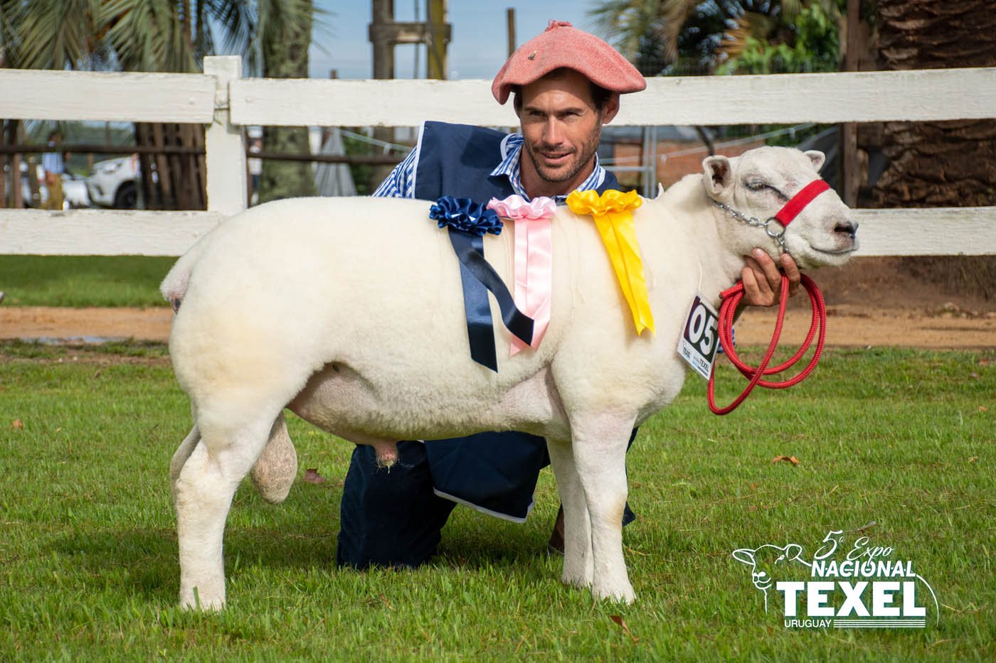 Foto de Premios 5ta Nacional TEXEL