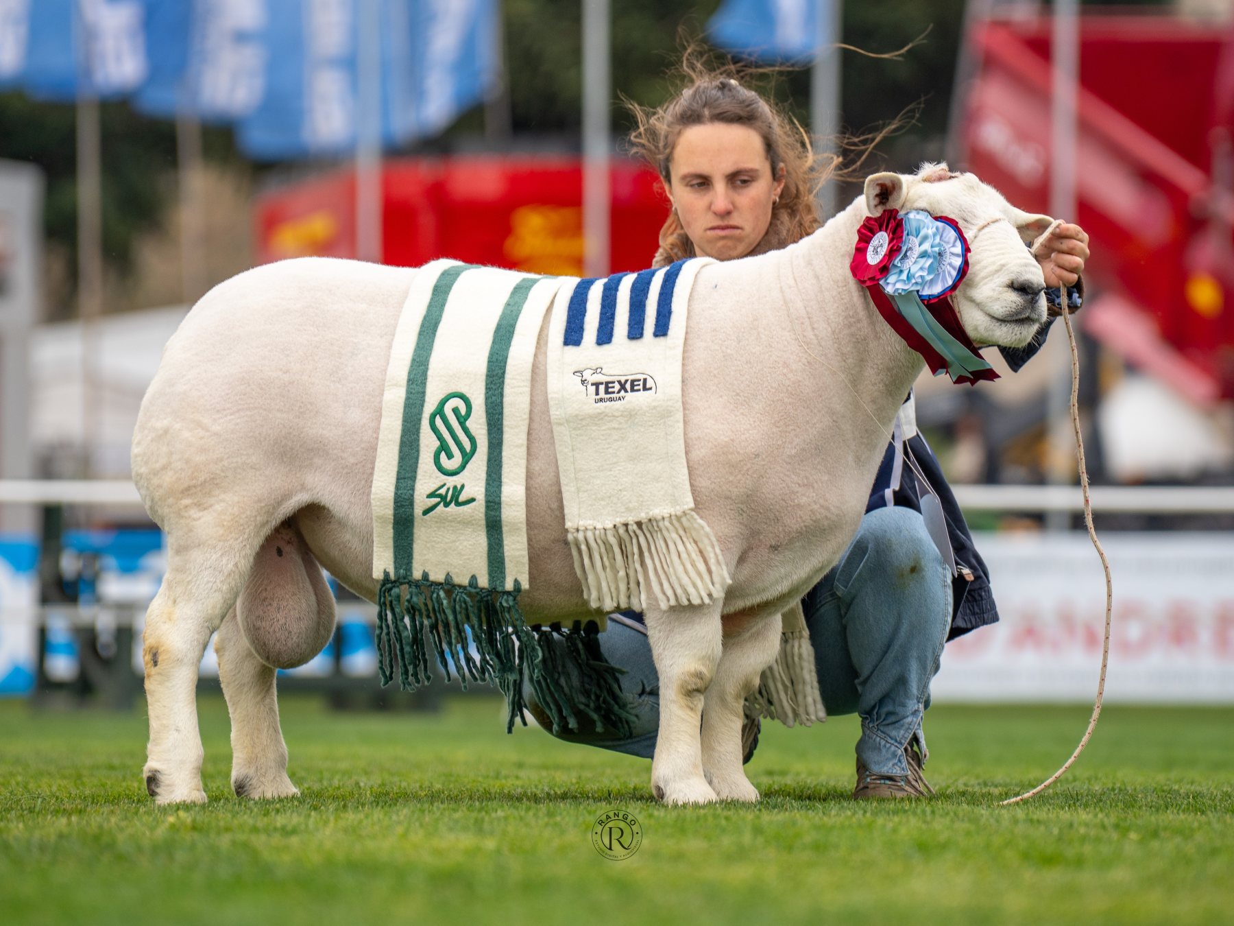 Foto de Texel ratificó su liderazgo carnicero con pista récord y nivel superlativo en la Expo Prado