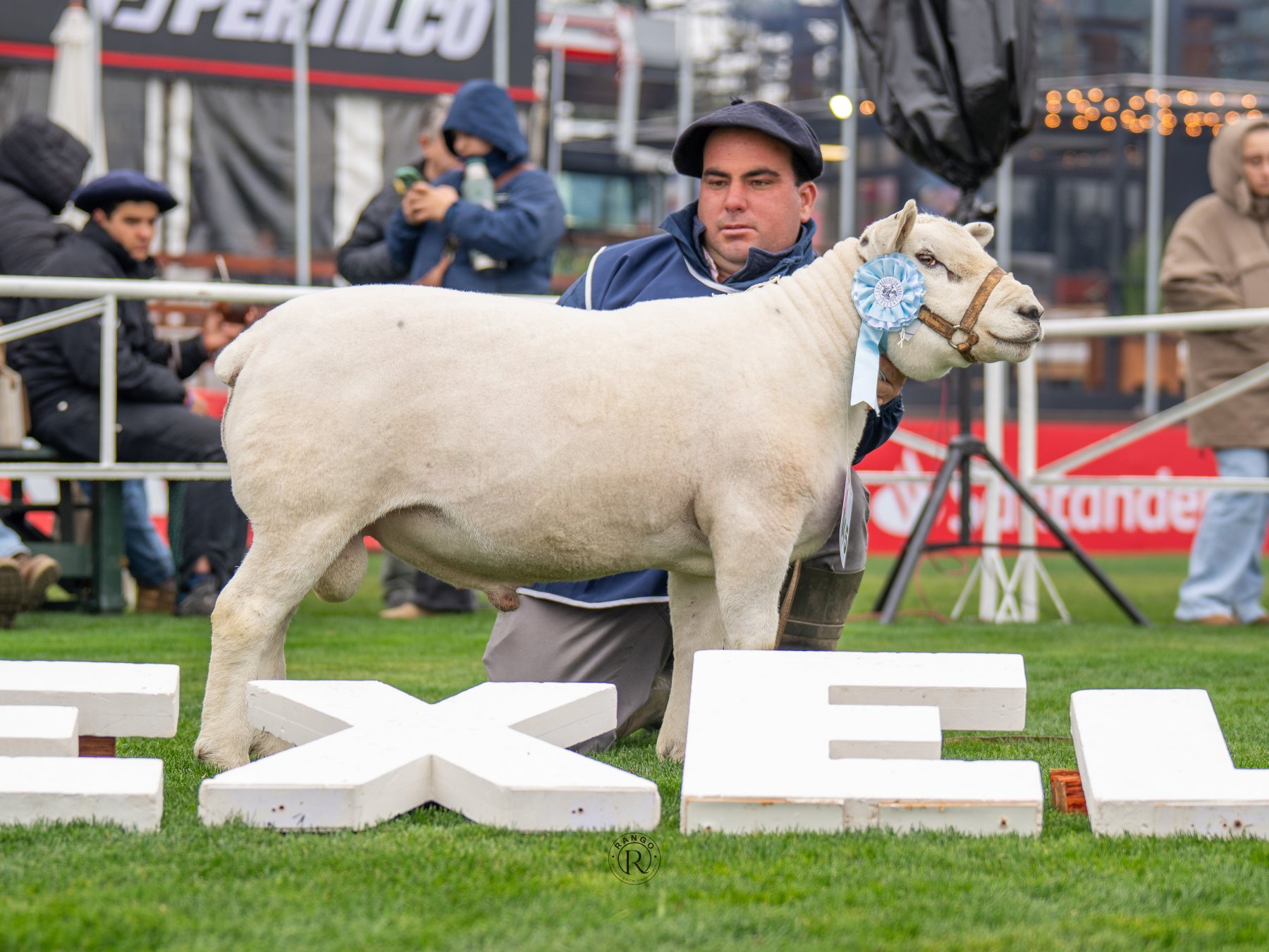 Foto de Texel ratificó su liderazgo carnicero con pista récord y nivel superlativo en la Expo Prado