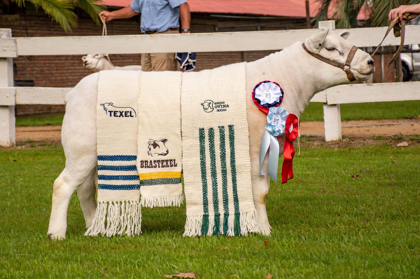 Foto de Premios 5ta Nacional TEXEL