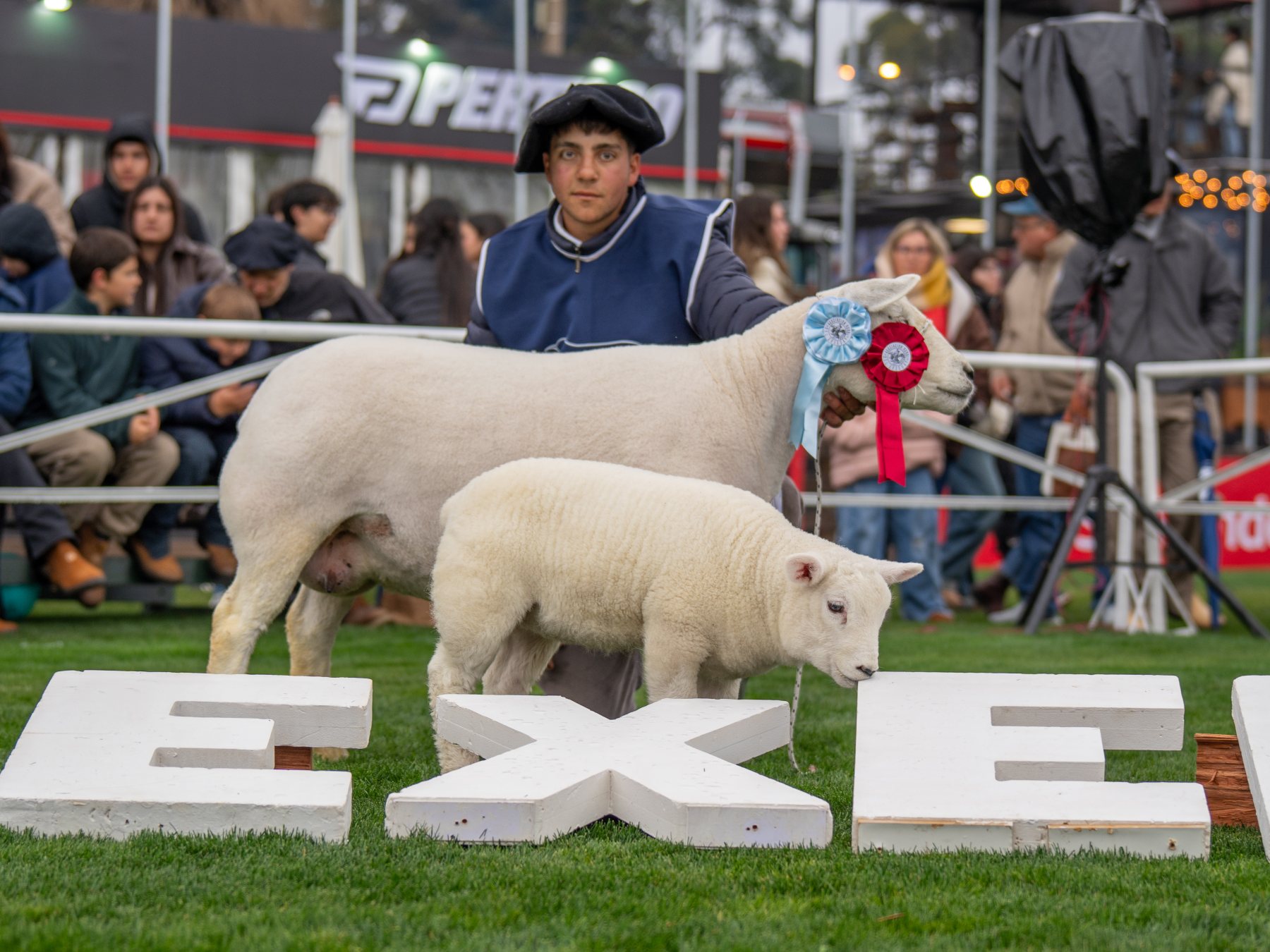 Foto de Texel ratificó su liderazgo carnicero con pista récord y nivel superlativo en la Expo Prado