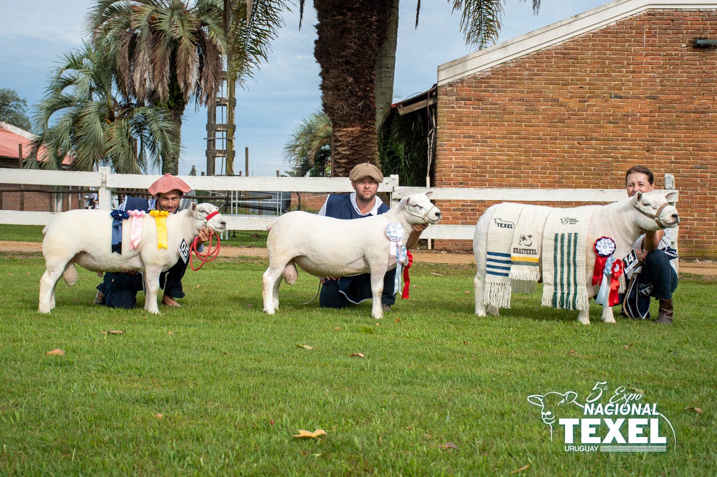 Foto de Premios 5ta Nacional TEXEL