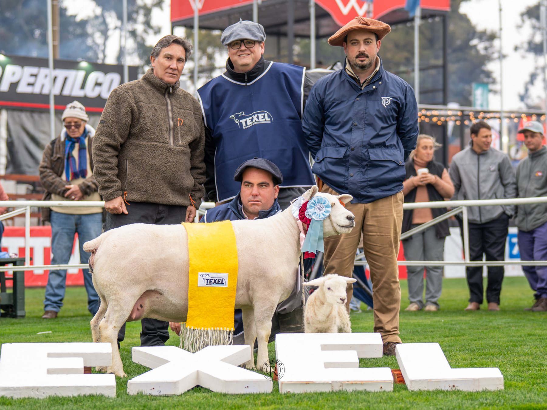 Foto de Texel ratificó su liderazgo carnicero con pista récord y nivel superlativo en la Expo Prado