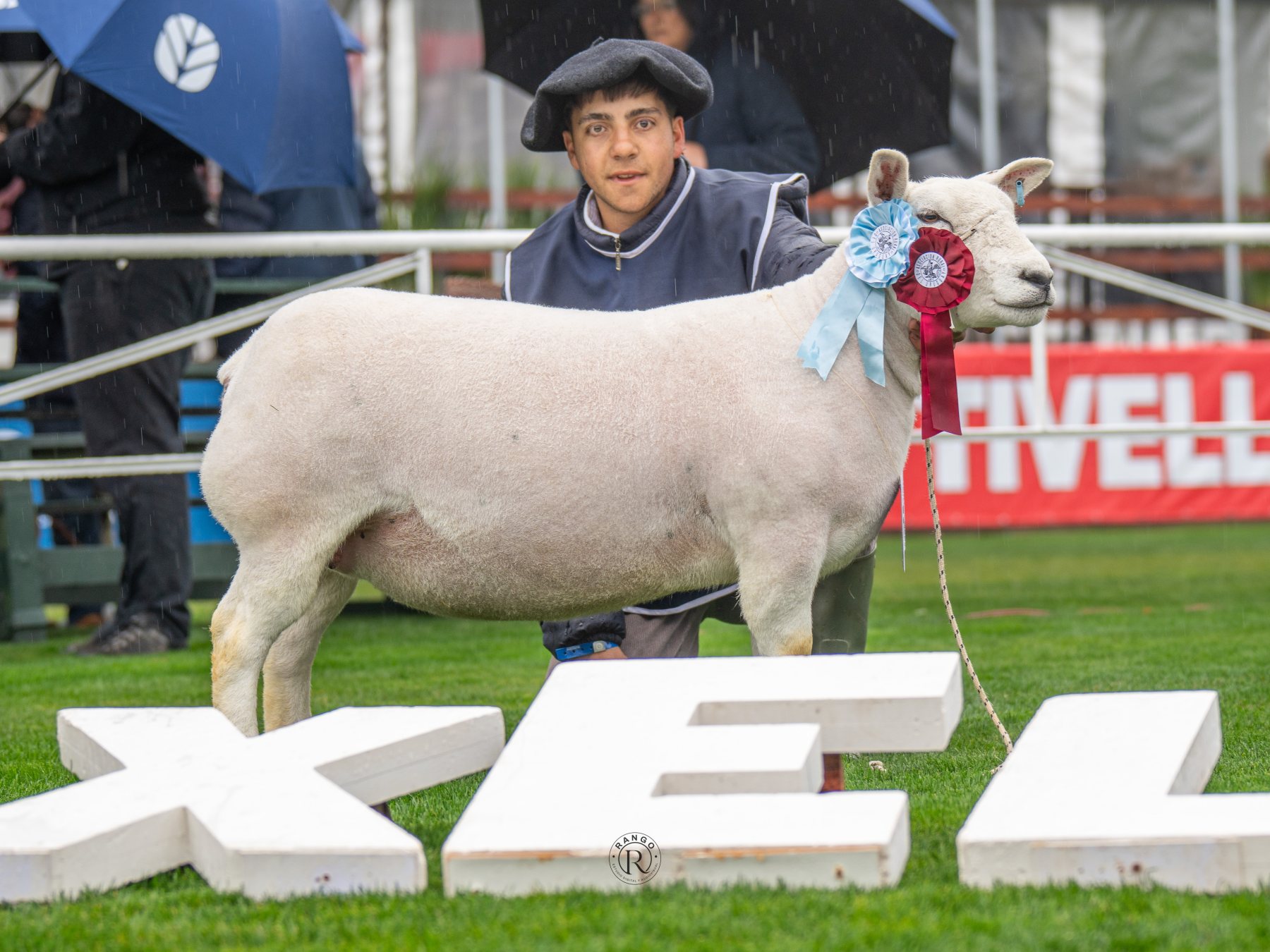 Foto de Texel ratificó su liderazgo carnicero con pista récord y nivel superlativo en la Expo Prado