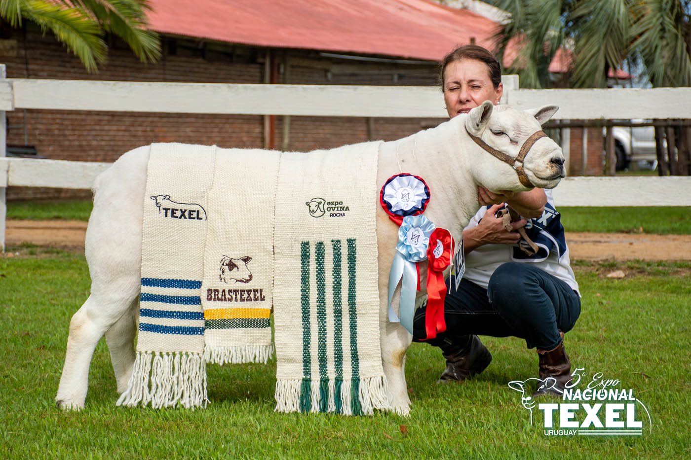 Foto de Premios 5ta Nacional TEXEL